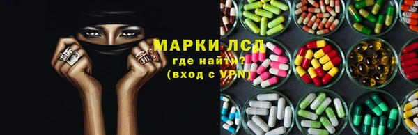 дживик Баксан