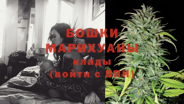 дживик Баксан