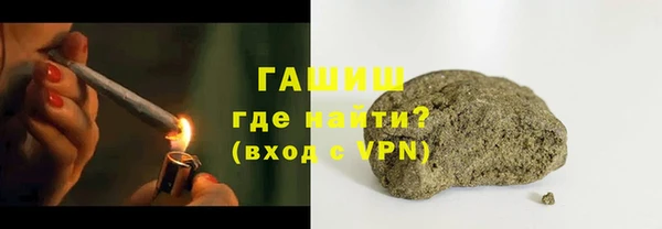 сатива Беломорск