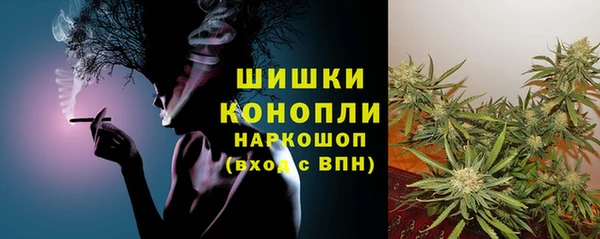 дживик Баксан