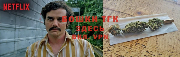 дживик Баксан