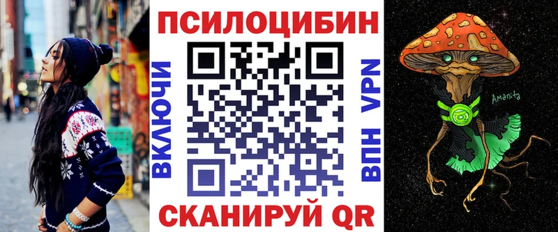 KRAKEN ССЫЛКА даркнет состав Ершов Галлюциногенные грибы MAGIC MUSHROOMS купить цена